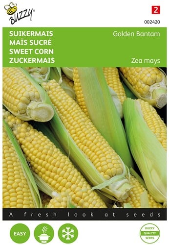 Zuckermais Golden Bantam - Buzzy