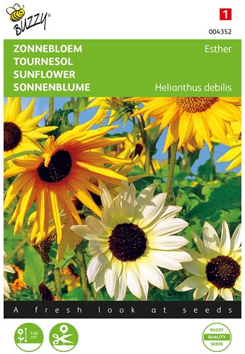 Sonnenblume Esther Mischung - Buzzy