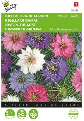 Jungfer im Grünen Persian Jewels - Nigella damascena