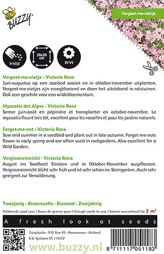 Vergissmeinnicht Victoria Rose - Buzzy Myosotis-2