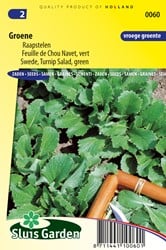 Stielmus Grüne