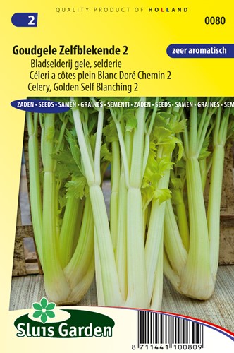 sellerieblätter Goldgelber2