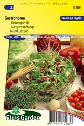 Schnittsalat Gemischte Gastronome