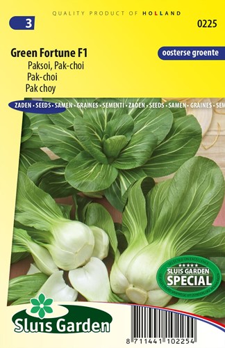 Mini Pak Choi Green Fortune F1