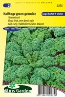 Grünkohl Halbhoher grüner Krauser