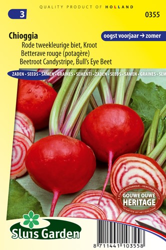 Rote Rübe Chioggia