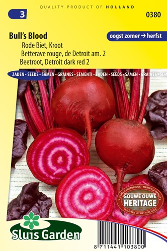 Rote Rübe Bull's Blood