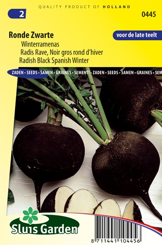 Winterrettich, runder schwarzer