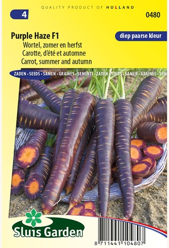 Karotte Purple Haze F1 - Daucus carota