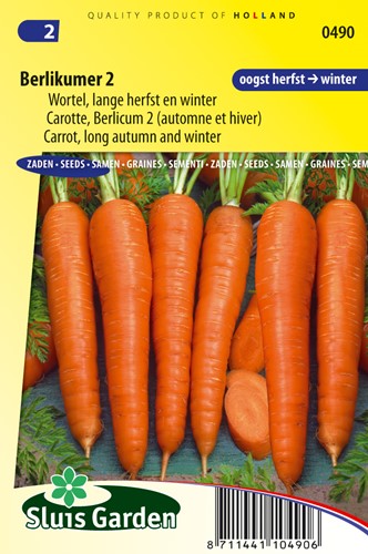 Möhre Berlikumer