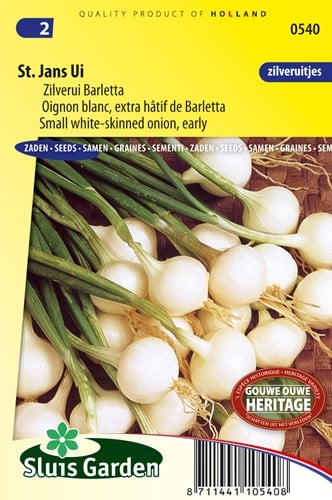 Perlzwiebel Barletta