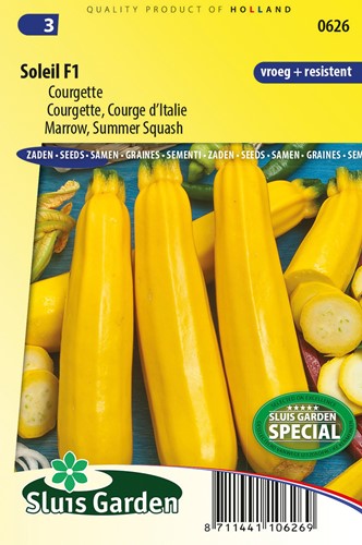 Zucchini Soleil F1 - Cucurbita pepo