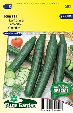 Gurke Louisa F1 - Cucumis Sativus