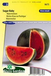 Wassermelone Sugar Baby