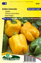 Paprika Golden Cal Wonder