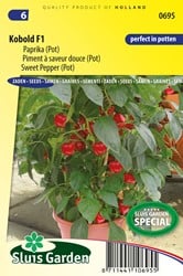 Paprika Kobold F1 PATIO