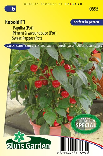 Paprika Kobold F1 PATIO