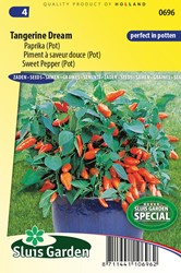 Paprika Tangerine Dream F1