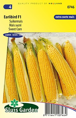 Zuckermais Earlibird F1 - Zea Mays