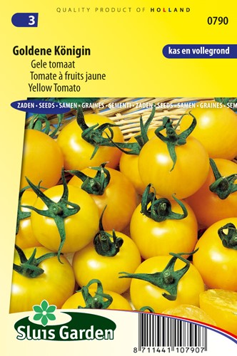Tomate Goldene Konigin