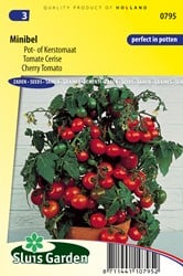 Tomate Minibel