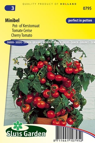 Tomate Minibel