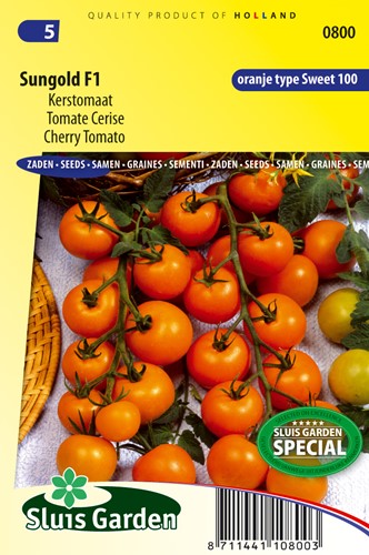 Tomate Sungold F1