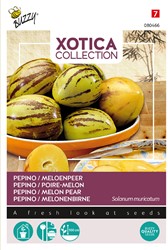 Pepino Melonenbirne - Xotica Collection