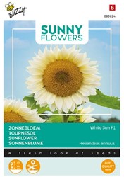 Zonnebloem White Sun F1 - Sunny Flowers