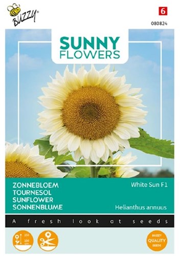 Sonnenblume White Sun F1 - Sunny flowers
