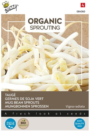 Mungbohnen Sprossen - Buzzy Organic Sprouting