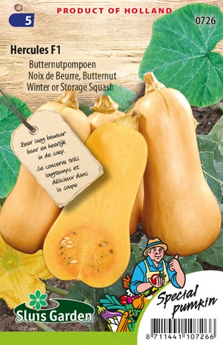 Butternusskürbis Hercules F1