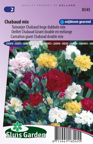 Nelke Chabaud Mix Dianthus Chabaud