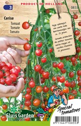 Tomate Cerise
