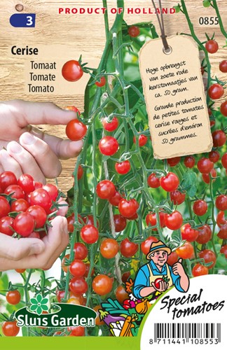 Tomate Cerise
