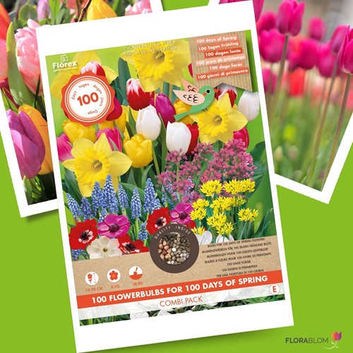 100 Tagen Blüte Paket