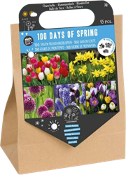 100 Tage Frühling – 45 Blumenzwiebeln