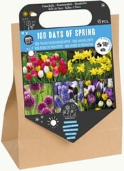 100 Tage Frühling – 45 Blumenzwiebeln