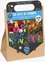 100 tagen Sommerblumen - Blumenzwiebeln