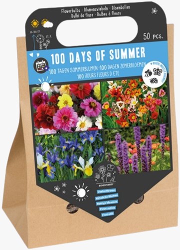 100 tagen Sommerblumen - Blumenzwiebeln