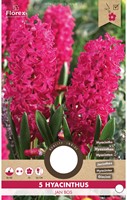Hyazinthe Jan Bos - Hyacinthus-2