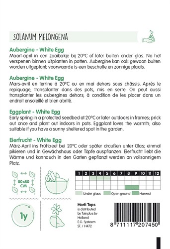 Aubergine White Egg - Horti Tops-2