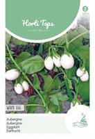 Aubergine White Egg - Horti Tops