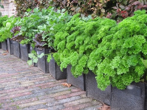 Pflanzbeutel Balkon/Wand 100% Recyceln