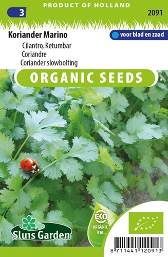 Koriander Marino - Coriandrum sativum EKO