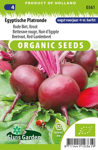 Rote Rübe Ägyptische plattrunde EKO