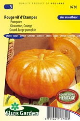 Kürbis Rouge Vif d'Etampes - Cucurbita maxima