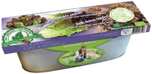 Zinkwanne Pflücksalat Red Salad Bowl BIO