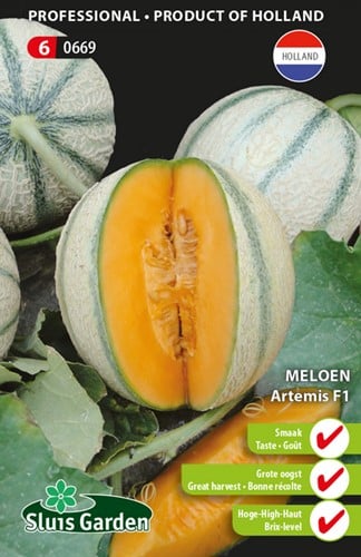 Zuckermelone artemis F1
