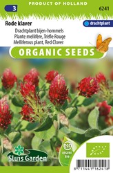 Rotklee, Bienentrachtpflanze Red Clover EKO